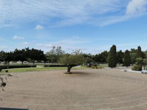 FOTO INSTALACIONES CEMABASA I