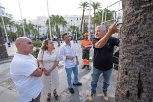 Palmera caída en San Juan de Dios