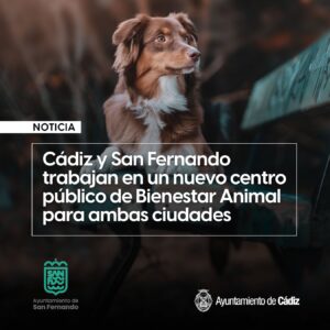 Centro Bienestar animal