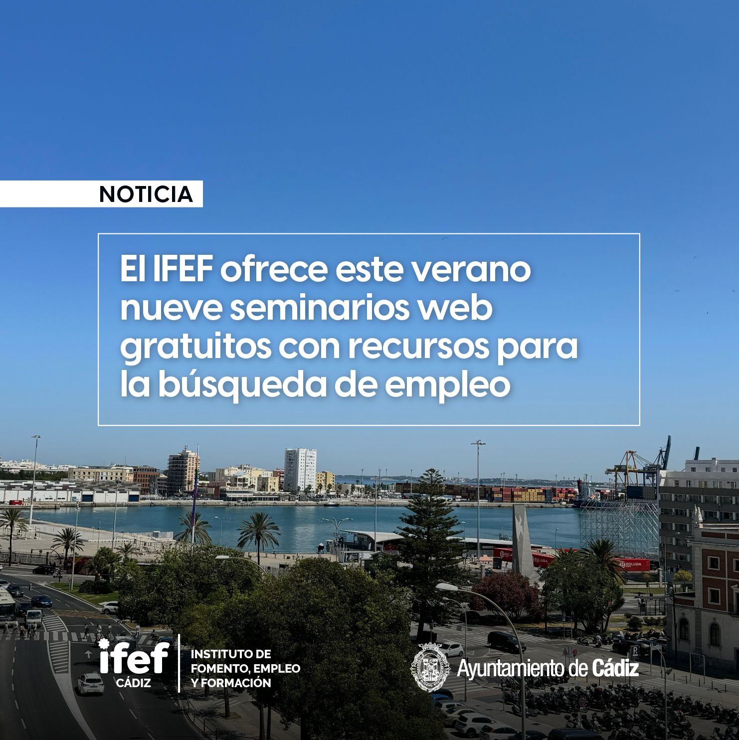 IFEF cursos empleo