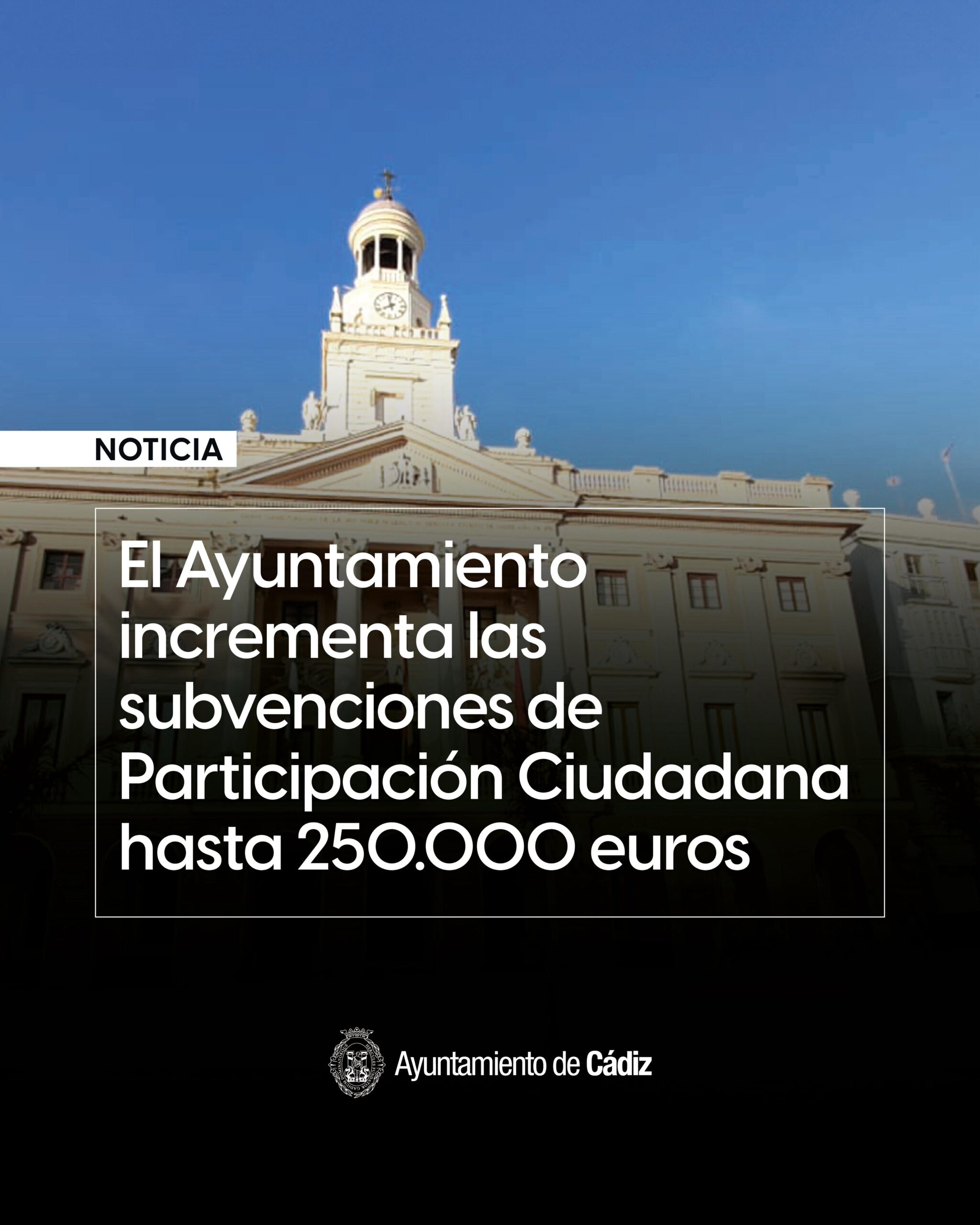 ayudas participación ciudadana