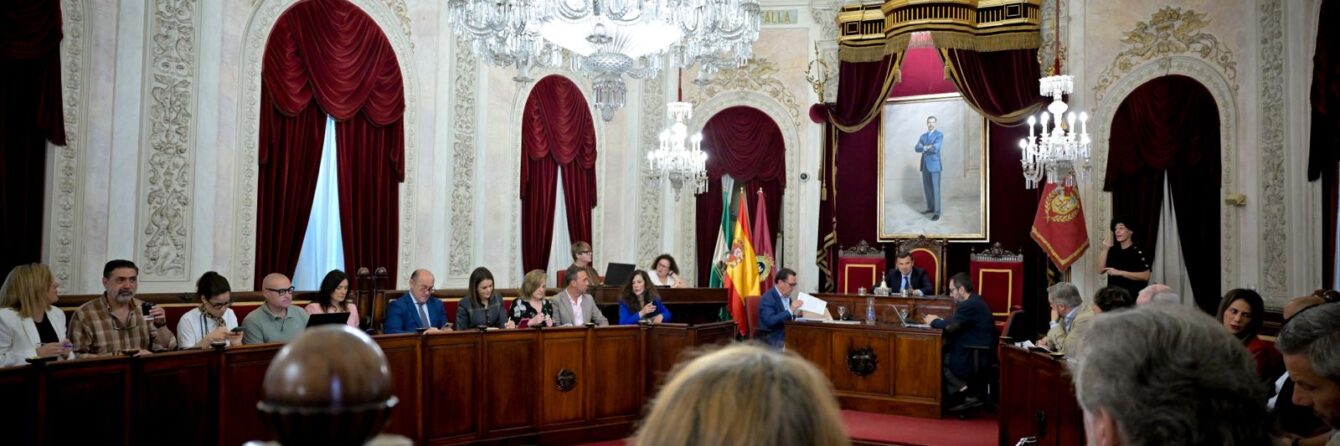 Pleno extraordinario