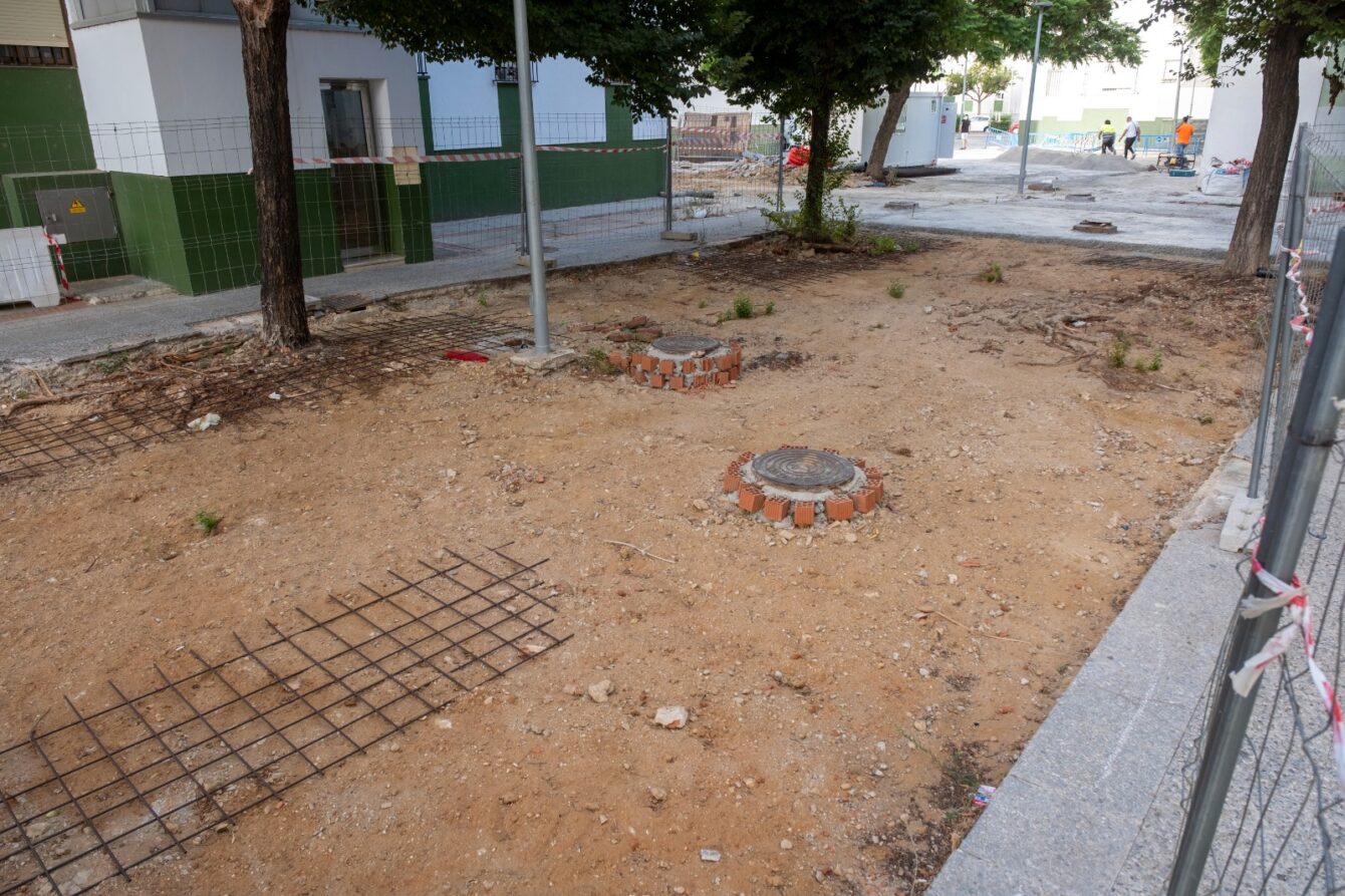 plan, acerado, alcorques