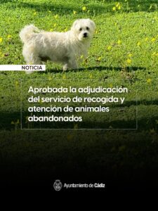Recogida animales