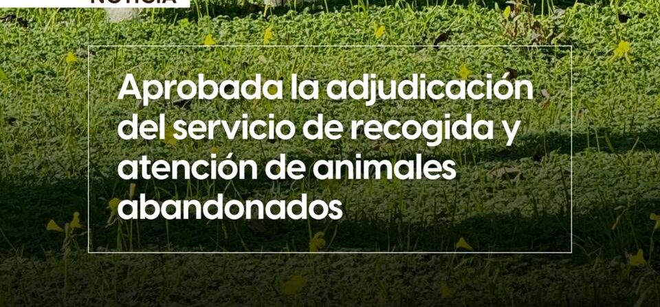 Recogida animales