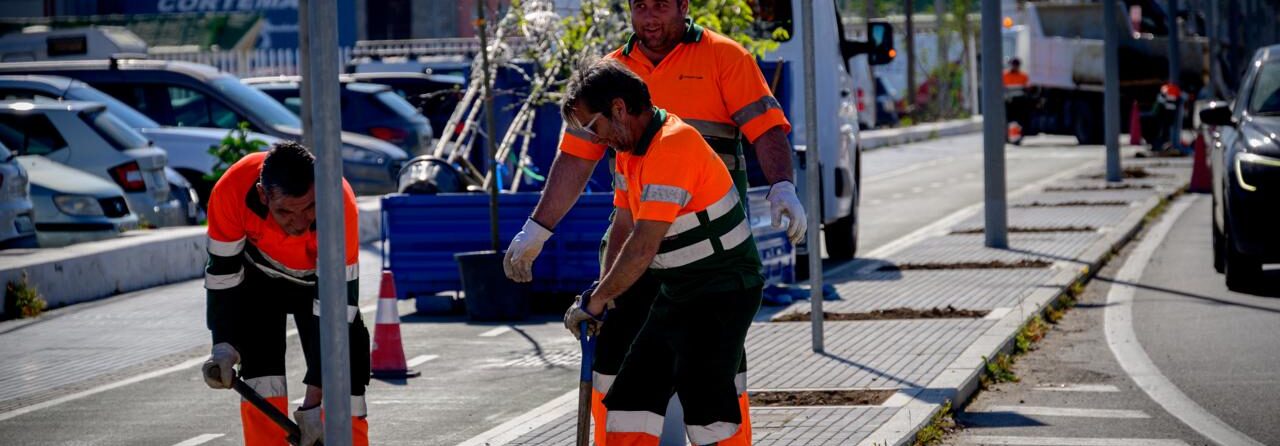 árboles avenida astilleros