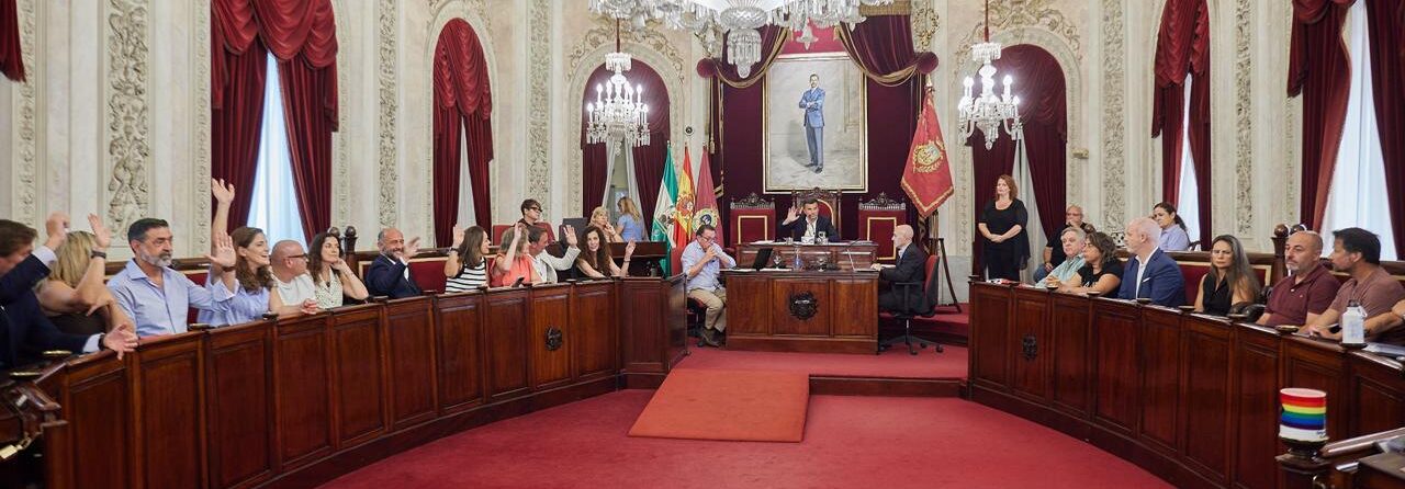 Pleno autobuses