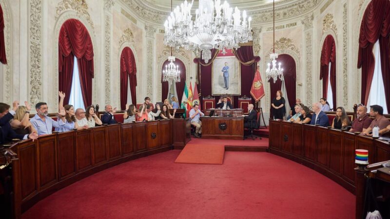 Pleno autobuses