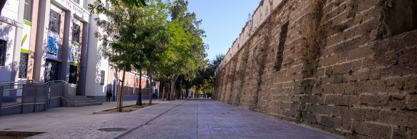 calle fernando el católico