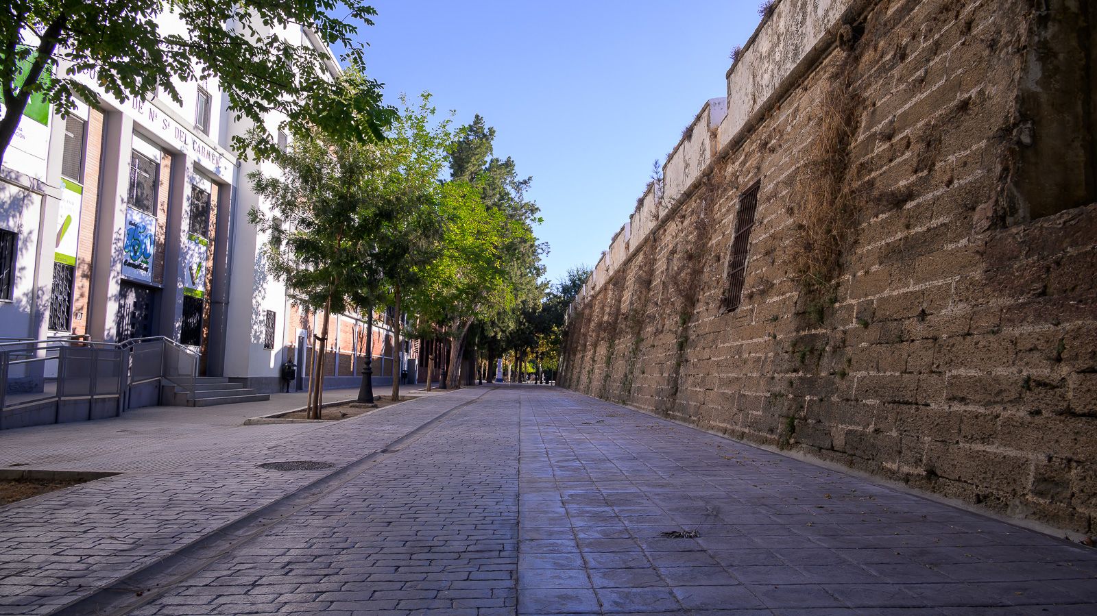 calle fernando el católico